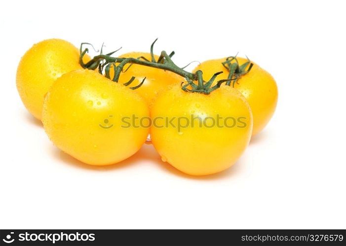 Heirloom tomatoes attached to a short section of vine isolated on a white background. Yellow Heirloom Tomatoes