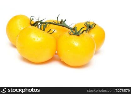 Heirloom tomatoes attached to a short section of vine isolated on a white background. Yellow Heirloom Tomatoes