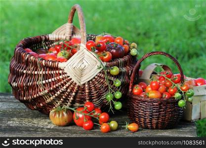 Heirloom variety tomatoes in baskets on rustic table. Colorful tomato - red, yellow , orange. Harvest vegetable cooking conception .