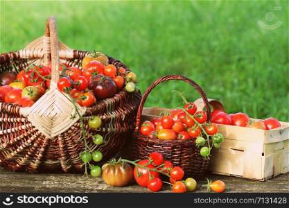 Heirloom variety tomatoes in baskets on rustic table. Colorful tomato - red,yellow , orange. Harvest vegetable cooking conception .. Heirloom variety tomatoes in baskets on rustic table. Colorful tomato - red,yellow , orange. Harvest vegetable cooking conception