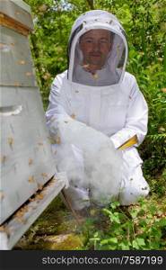 heis beekeeping in the yard