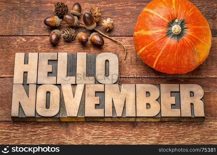 Hello November greeting card - letterpress wood type blocks against grained wood with acorn and squash decoration