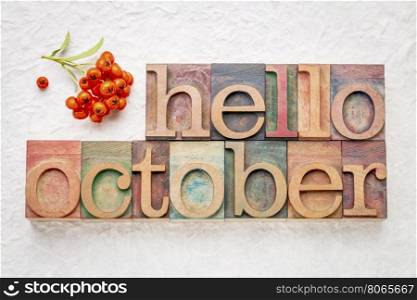 hello October greeting card - letterpress wood type blocks against white lokta paper with firethorn berries