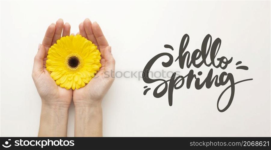 hello spring hand with flower