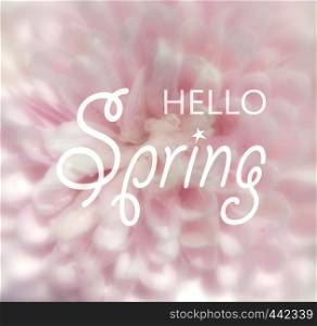 Hello spring text sign on pink flower soft background. Greeting card concept.