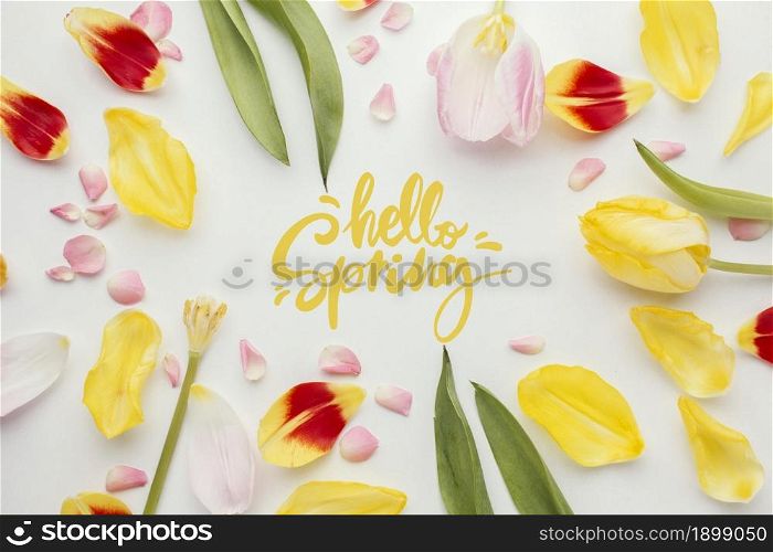 hello spring word flower petals. Resolution and high quality beautiful photo. hello spring word flower petals. High quality beautiful photo concept