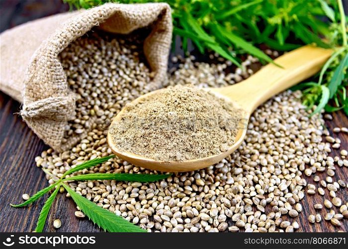 Hemp flour in a wooden spoon, the grain in the bag and on the table, leaves and stalks of cannabis on the background of planks