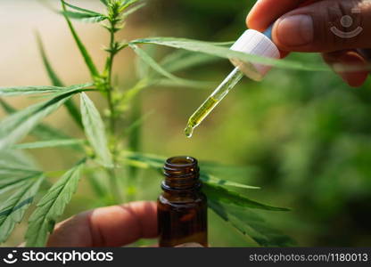 hemp oil dropper in bottle with cannabis tree background