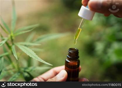 hemp oil dropper in bottle with cannabis tree background