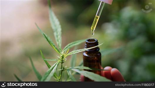 hemp oil dropper in bottle with cannabis tree background