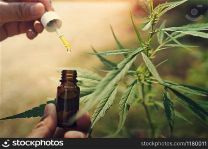 hemp oil dropper with cannabis tree background
