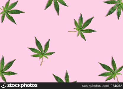 Hemp or cannabis leaf isolated on light pink background. Top view, flat lay. Pattern background with green leaves. Herbal alternative medicine and cannabis concept. Hemp or cannabis leaf isolated on light pink background.