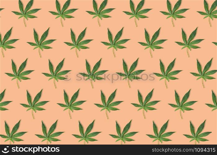Hemp or cannabis leaf isolated on orange or peach background. Top view, flat lay. Pattern background with green leaves. Herbal alternative medicine and cannabis concept. Hemp or cannabis leaf isolated on white background. Top view, flat lay. Template or mock up.