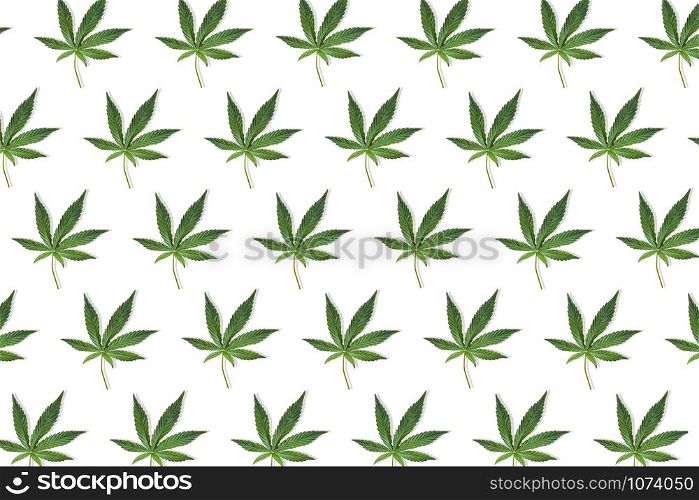 Hemp or cannabis leaf pattern on white background. Top view, flat lay.. Hemp or cannabis leaf pattern on white background.