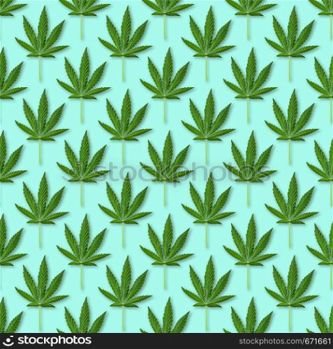 Hemp or cannabis leaves seamless pattern. Close up of fresh Cannabis leaves on blue background. Hemp or cannabis leaves seamless pattern.