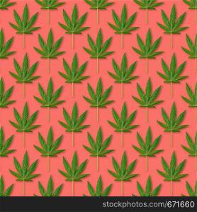 Hemp or cannabis leaves seamless pattern. Close up of fresh Cannabis leaves on pink background. Hemp or cannabis leaves seamless pattern. Close up of fresh Cannabis leaves on white background