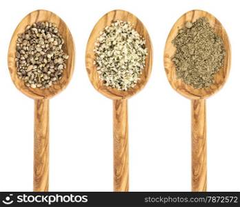 hemp seed, hearts and protein powder on isolated wooden spoons