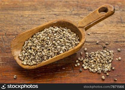 hemp seeds on a rustic wooden scoop against grunge wood table