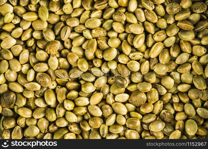 hemp seeds, unpeeled in a closeup