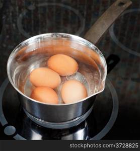 hen eggs are cooked in metal pot on electric stove in kitchen