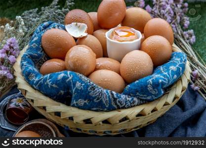 Hen / Fresh chicken eggs on basket. Nutrition concept, Selective focus.