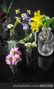 herb in bottle. Herbs and blossoms in small glass bottles on dark background