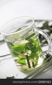 Herb tea