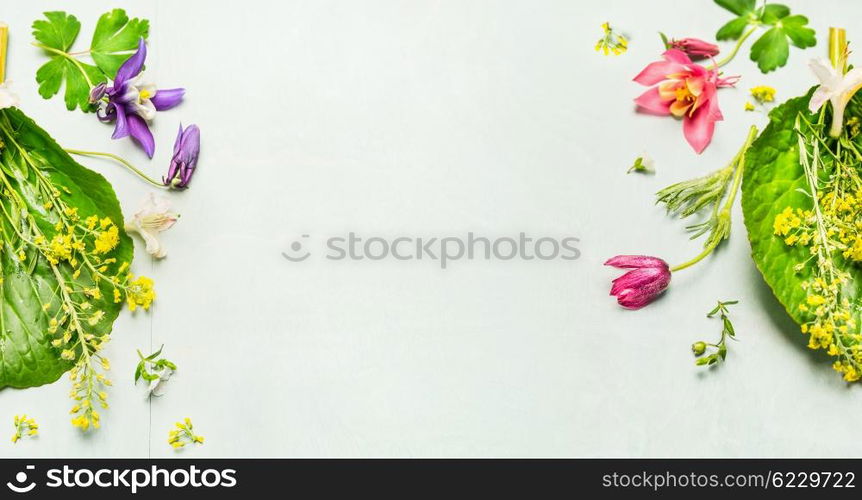 Herbal background with summer or spring garden flowers and plant ,frame. Top view, place for text, banner