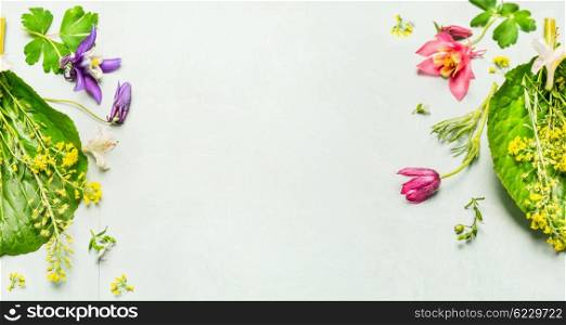 Herbal background with summer or spring garden flowers and plant ,frame. Top view, place for text, banner