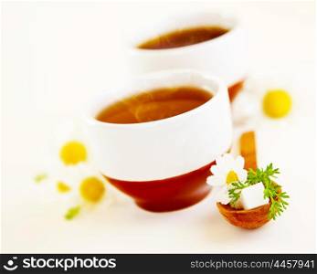 Herbal chamomile cup of tea with flowers, shallow depth of field