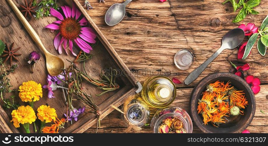 Herbal medicinal herbs and plant. Medicinal herbs and plants in a wooden box in a vintage background.
