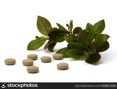 herbal medicine isolated on white background