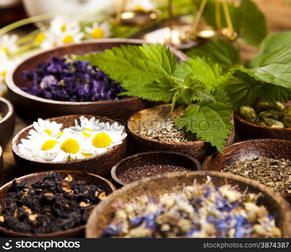 Herbal medicine, natural colorful tone