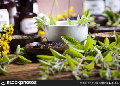 Herbal medicine, natural colorful tone