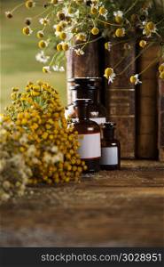 Herbal medicine on wooden desk background. Fresh medicinal, healing herbs on wooden
