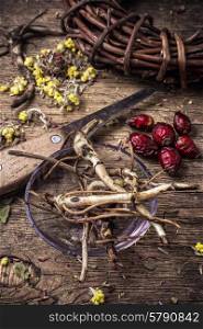 herbal medicine. range is collected and dried medicinal herbs and plants for herbalism.Selective focus.Photo tinted