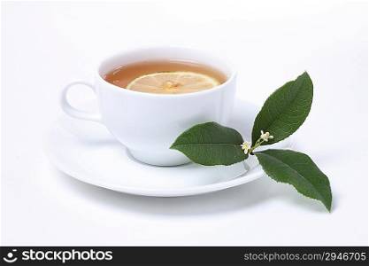 Herbal Tea