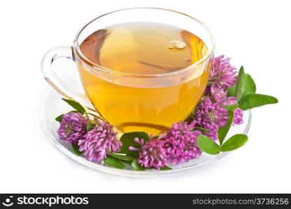 herbal tea and clover flowers over white