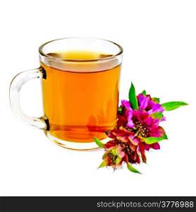 Herbal tea in a glass mug, fresh bergamot flower isolated on white background