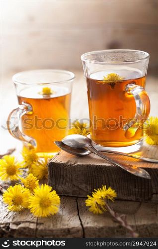herbal tea with coltsfoot flowers