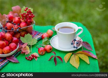 Herbal tea with lemon and paradise apples. Top view on a white wooden table. Green and yellow leaves, red apples. Tea in the garden.. Herbal tea with lemon and paradise apples. Top view on a white wooden table. Green and yellow leaves, red apples.