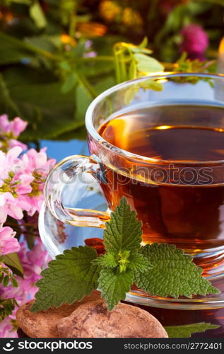 Herbal tea with mint and cocoa