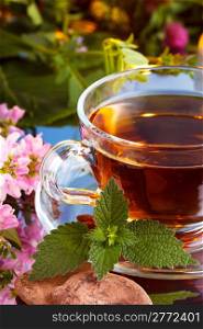 Herbal tea with mint and cocoa