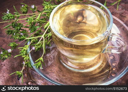 Herbal tea with Oregano