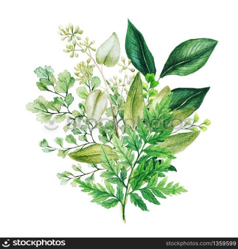 Herbal watercolor bouquet with ferns and adiantum, hand drawn watercolor illustration