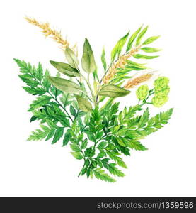 Herbal watercolor bouquet with ferns and ears, hand drawn watercolor illustration