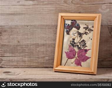 herbarium in frame on a wooden background