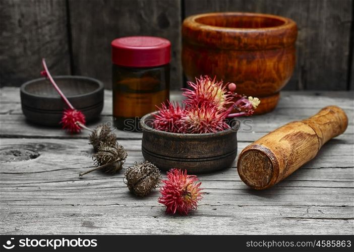 herbs alternative medicine