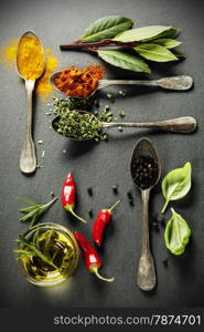 Herbs and spices selection - herbs and spices, old metal spoons and slate background - cooking, healthy eating