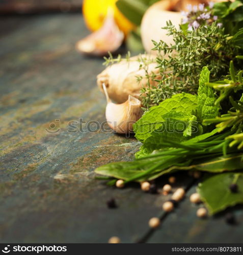 Herbs and spices selection on rustic background